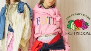 YUMICOREから、Hogssy（ホグッシー）・Hogssy Plus(ホグッシープラス