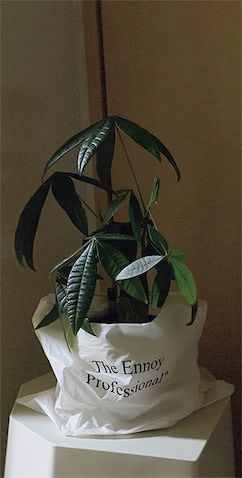 ショップ袋で鉢を隠す ⚫︎「誕生日にもらった観葉植物。“Arnold Circus Stool”のスツールに合わせ白い袋をかぶせています。ビニールだからこそ出るカジュアルさも好きで、気分次第で袋のブランドを変えられる手軽さも魅力。捨てるのが惜しかったショッパーの使いみちが広がりました」（ayaさん）
